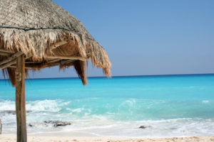 Caribbean Beach with a Palm Shelter driftwood along with crystal blue waters, blue sky and sand along with waves