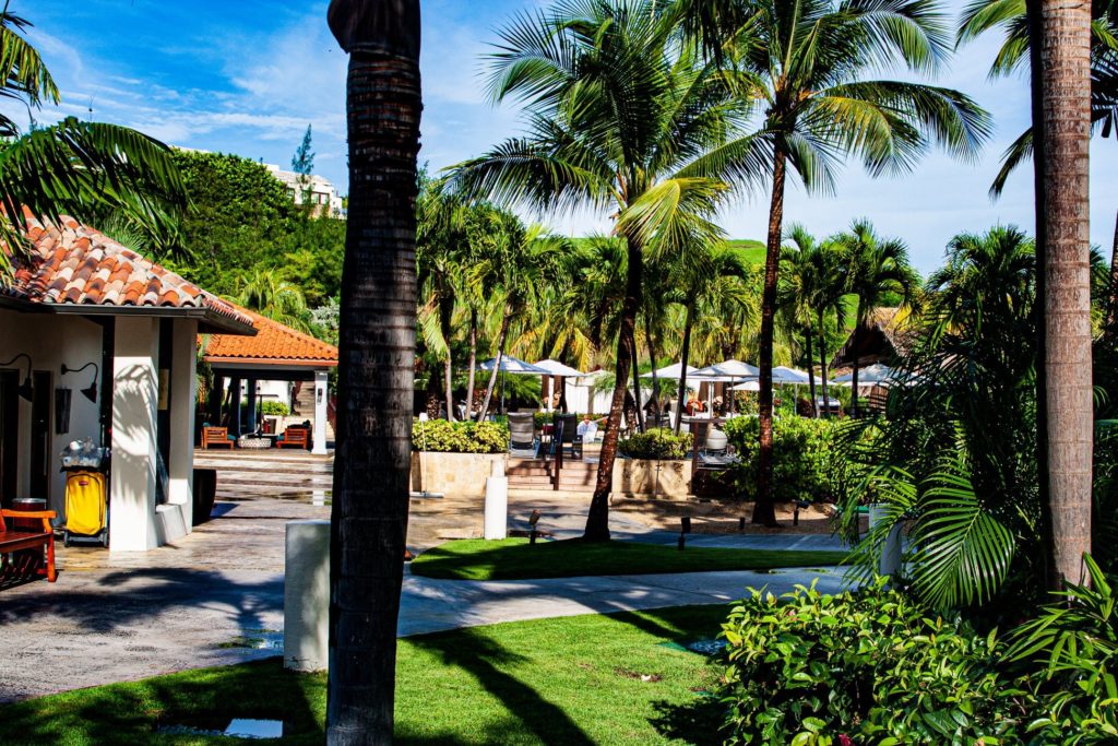 A picture showing the green palm trees and plants at Sandals Grenada with blue sky