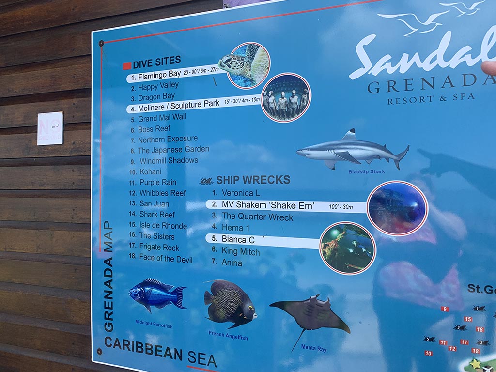 Picture showing the dive sights and what you may see in the ocean