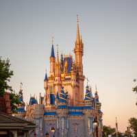 picture of cinderella's castle during the golden hour of the day with a light gold glow